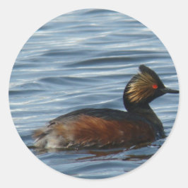 B1 Eared Grebe Runder Aufkleber