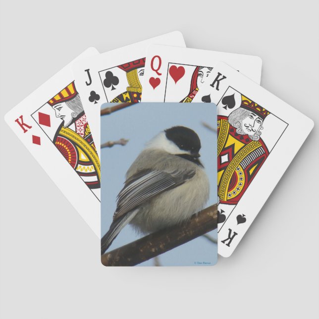 B21 Schwarz-mit einer Kappe bedeckter Chickadee Spielkarten (Rückseite)