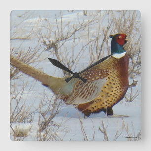 B22 Fasan im Schnee Quadratische Wanduhr