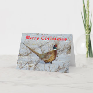 B22 Ring-Necked Pheasant in Snow Christmas Card Feiertagskarte