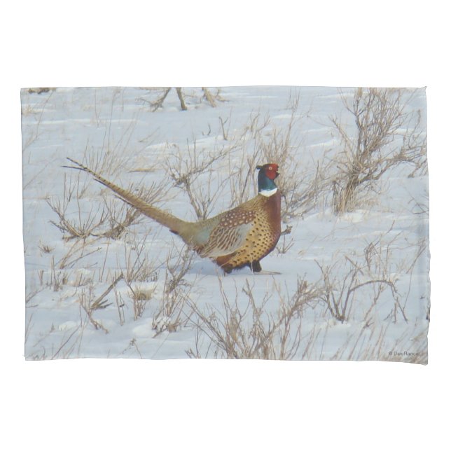 B22 Ringe mit Hals in Schnee Kissenbezug (Vorderseite)