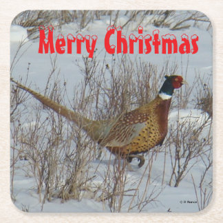 B23 Ring Necked Pheasant in Snow Coaster Rechteckiger Pappuntersetzer