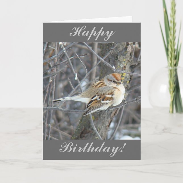 B24 Gemeiner Sparrow Karte (Vorderseite)