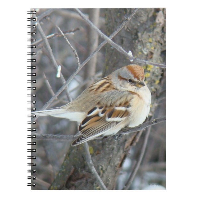 B24 Gemeiner Sparrow Notizblock (Vorderseite)