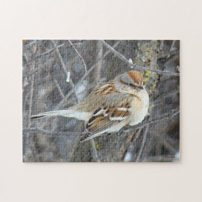 B24 Gemeiner Sparrow Puzzle (Horizontal)