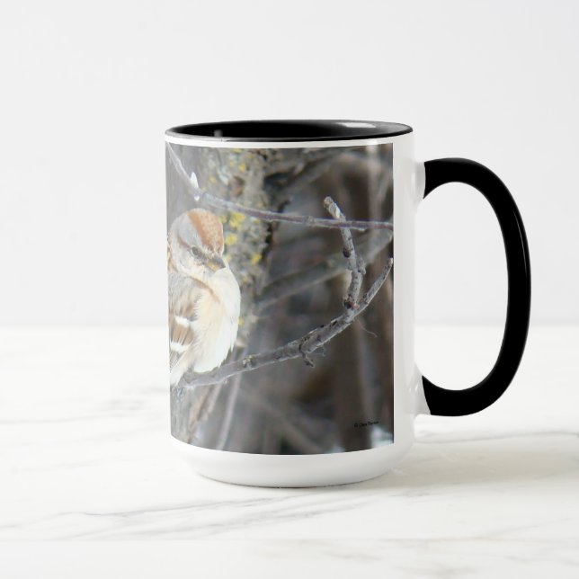 B24 Gemeiner Sparrow Tasse (Rechts)