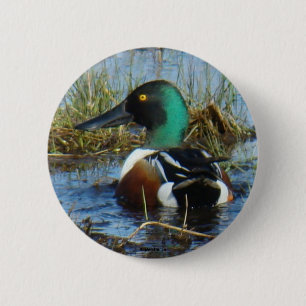 B25 Northern Shoveler Button