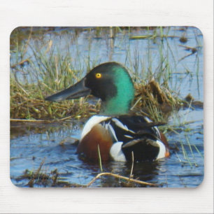 B25 Northern Shoveler Drake Mousepad