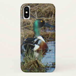 B26 Northern Shoveler iPhone X Hülle