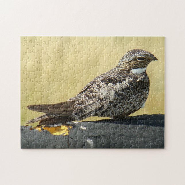 B29 Gemeinsames Nachtwache Puzzle (Horizontal)