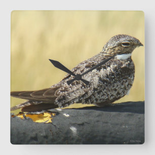 B29 Gemeinsames Nachtwache Quadratische Wanduhr