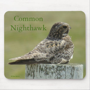 B2 Common Nighthawk Mousepad