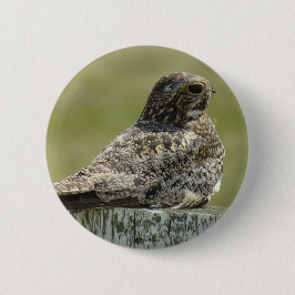 B2 Nighthawk Button