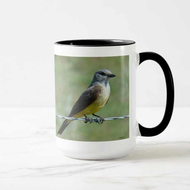 B31 Western Kingbird Tasse (Rechts)