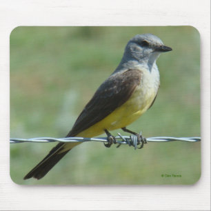 B31 Westlicher Königstyrann Mousepad