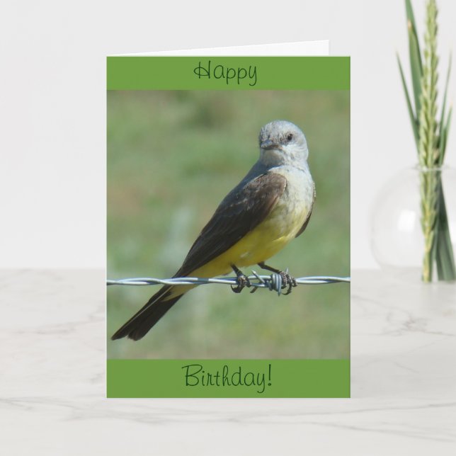B32 Western Kingbird Karte (Vorderseite)