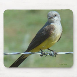 B32 Western Kingbird Mousepad