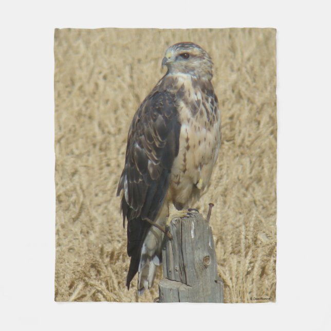 B36 Ferruginous Hawk im Weizenfeld Fleecedecke (Vorderseite)