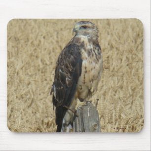 B36 Ferruginous Hawk im Weizenfeld Mousepad