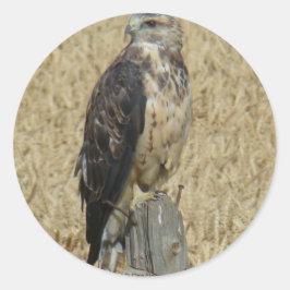 B36 Ferruginous Hawk im Weizenfeld Runder Aufkleber