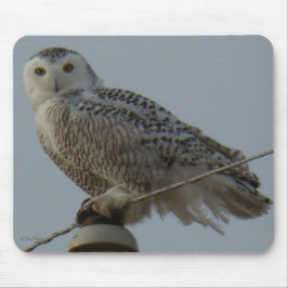 B38 Schneeauwl Mousepad