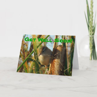 B3 Marsh Wren in Cattails Karte