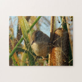 B3 Marsh Wren in Cattails Puzzle