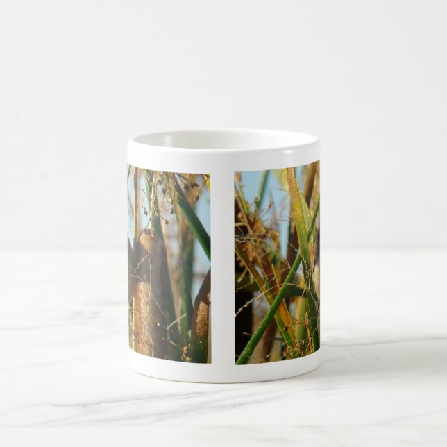B3 Marsh Wren Kaffeetasse (Mittel)
