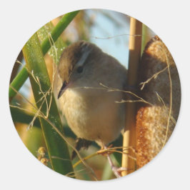 B3 Marsh Wren Runder Aufkleber