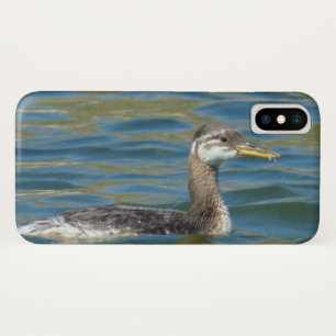 B40 Junger Rothalstaucher iPhone X Hülle