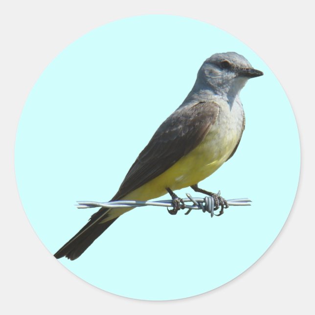 B45 Western Kingbird Runder Aufkleber (Vorderseite)