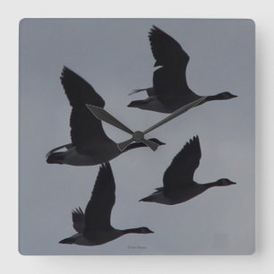 B46 Kanadische Gänse im Flug Quadratische Wanduhr