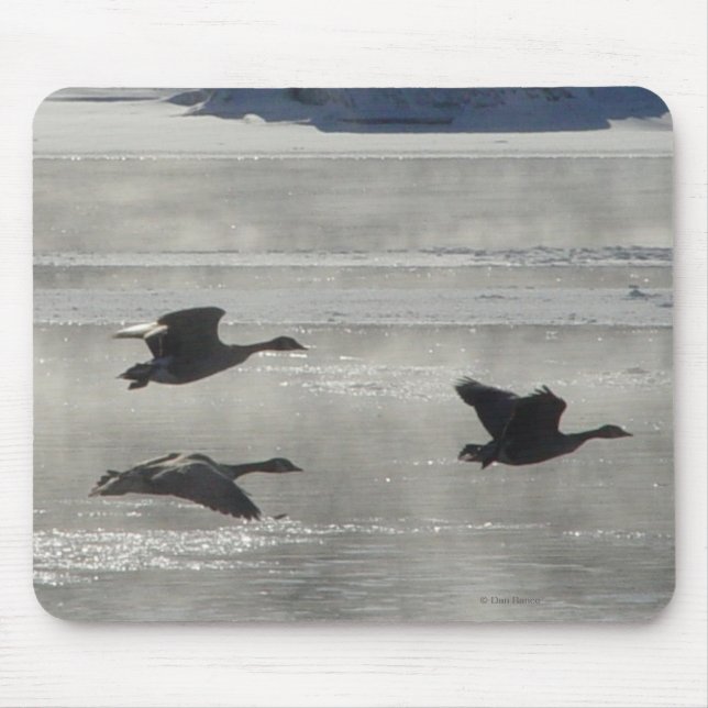 B47 Kanadische Gänse über Frozen Mousepad (Vorne)