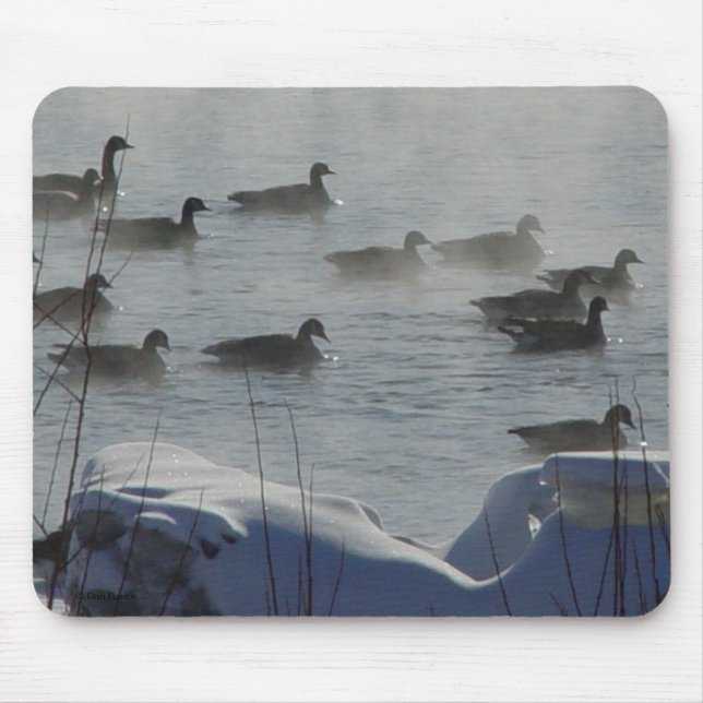 B49 Kanadische Gänse auf dem Frozen Mousepad (Vorne)
