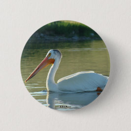 B4 White Pelican Button