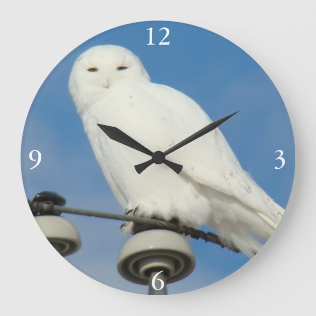 B50 Schneeauge Große Wanduhr (Vorderseite)
