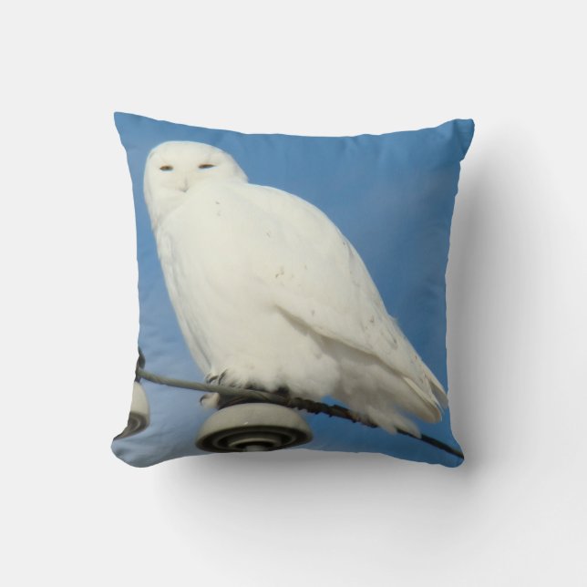 B50 Schneeauwl Kissen (Vorderseite)