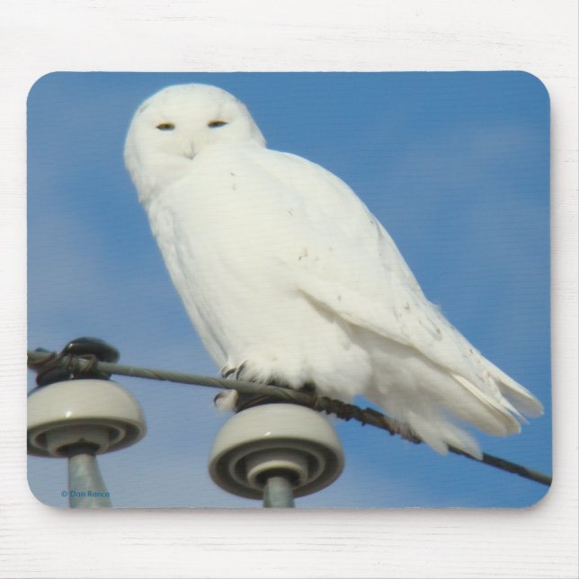B50 Schneeauwl Mousepad (Vorne)