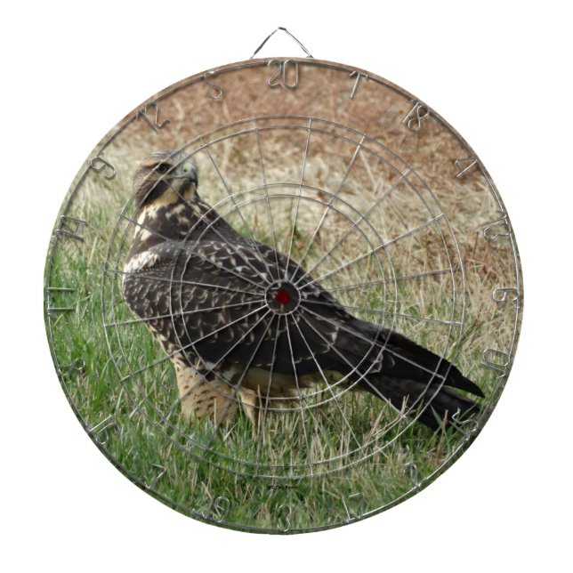 B52 Swainson's Hawk Dartscheibe (vorne)