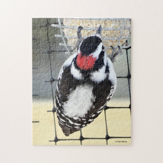 B53 Downy Woodpecker Puzzle (Vertikal)