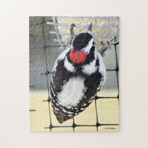 B53 Kleinspecht Puzzle