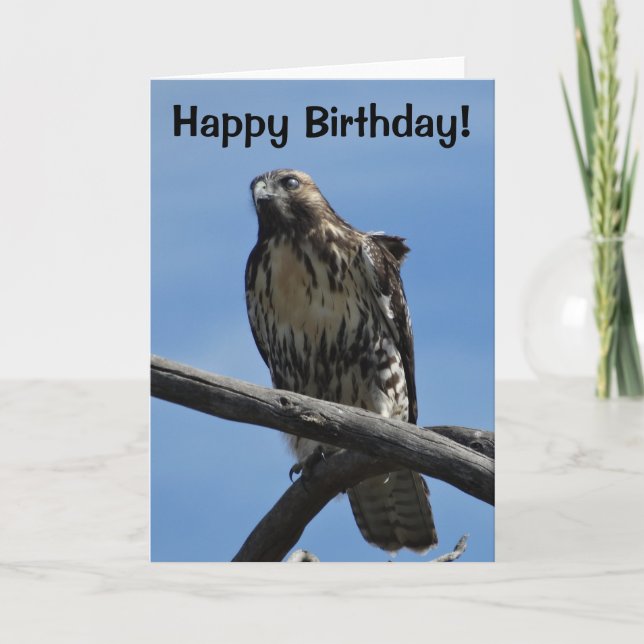 B54 Swainson's Hawk Karte (Vorderseite)