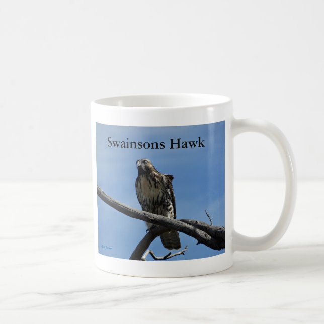 B54 Swainson's Hawk Tasse (Rechts)