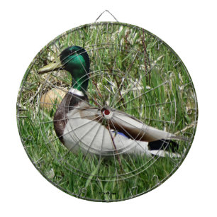 B55 Mallard Ente Drake Greenhead im Gras Dartscheibe