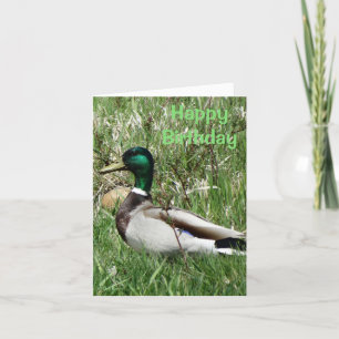 B55 Mallard Ente Drake Greenhead im Gras Feiertagskarte