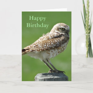 B56 Burrowing Owl Feiertagskarte