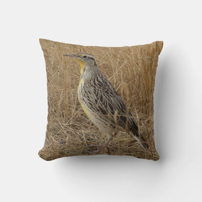 B57 Western Meadowlark Kissen (Vorderseite)