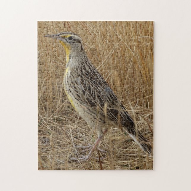 B57 Western Meadowlark Puzzle (Vertikal)