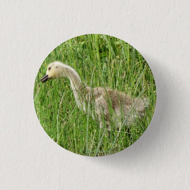 B58 Kanadas Gänsegel im Gras Button (Vorderseite)