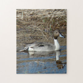 B5 Pintail Duck Drake Puzzle